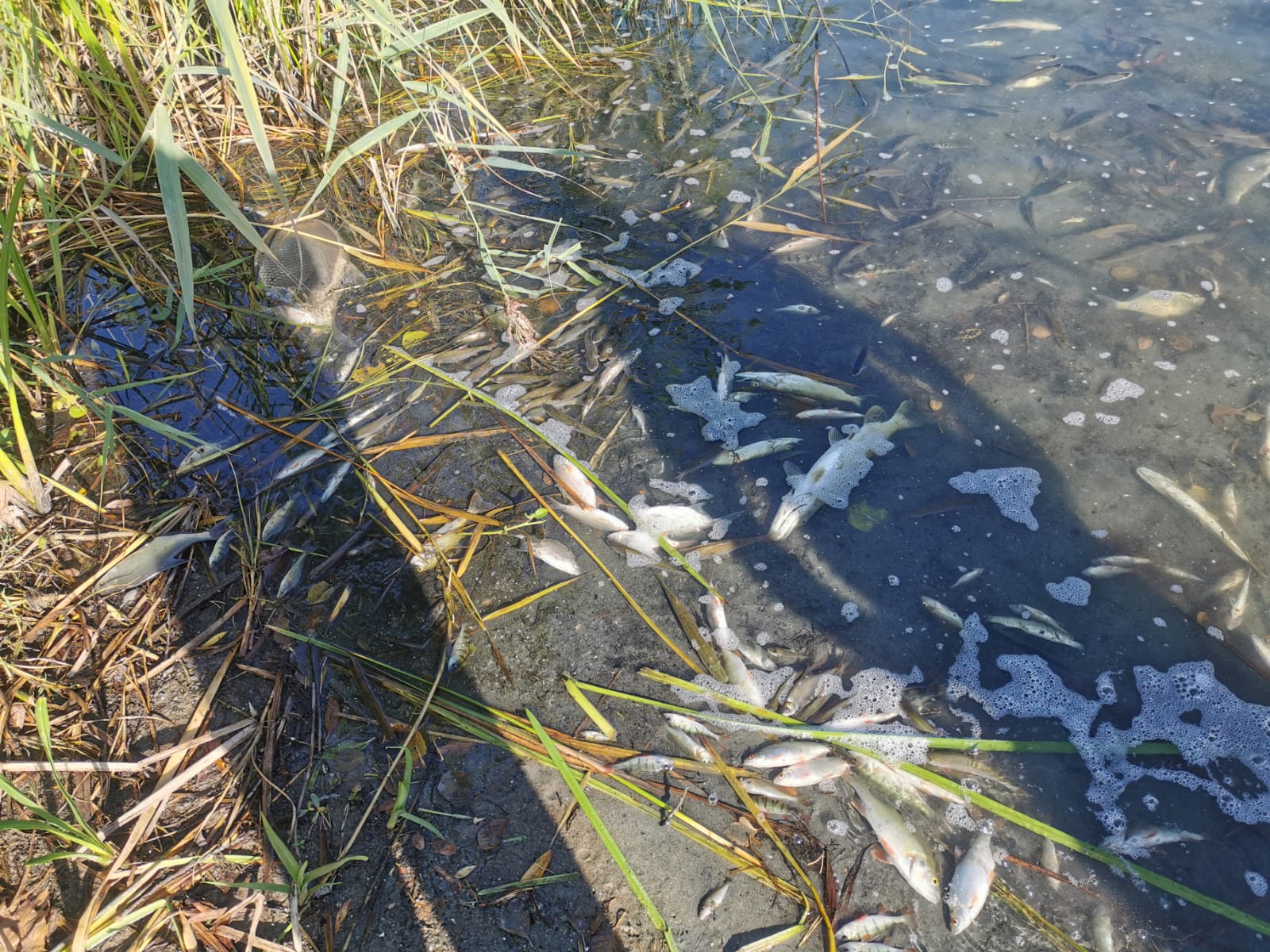 Sauerstoffmangel 2023